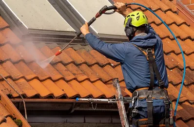Démoussage et hydrofuge de toiture à Bardou